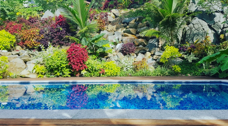 Splendid swimming pool with organic gardens by Rainbow Villas